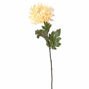 Florasystém Chryzantéma kus krémová 60x17cm - Umelé kvety