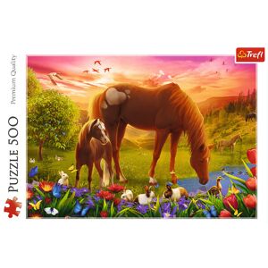 Trefl Trefl Puzzle 500 - Kone na lúke 37451