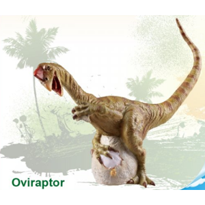 Mikro Dinosaurus Oviraptor 19cm v sáčku - Dinosaurus
