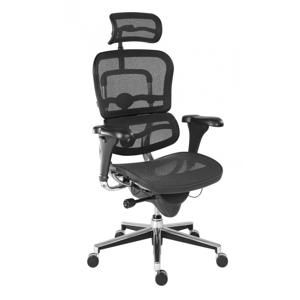Ergohuman vystavený kus - kancelárska stolička, sedák látka čierna, operadlo sieťovina
