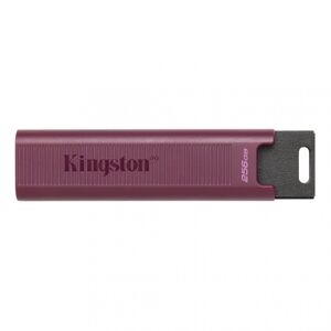 Kingston DataTraveler Max Typ-A 256GB DTMAXA/256GB - USB 3.2 kľúč