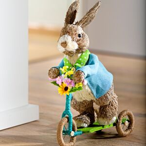 Zajac na bicykli
