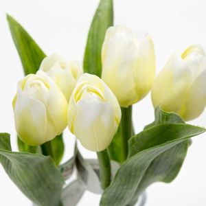 Tulipán kus 40cm krémový F244-W - Umelé kvety