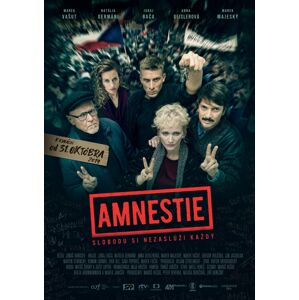 Amnestie - DVD film
