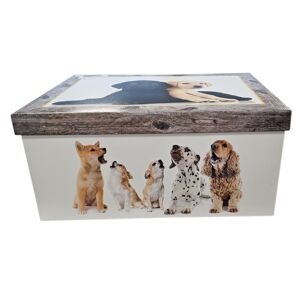 Úložná krabica MAXI DOGS YELLOW 51x37x24cm - Krabica úložná
