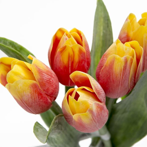 Tulipán kus 40cm červeno-žltý F244-R - Umelé kvety
