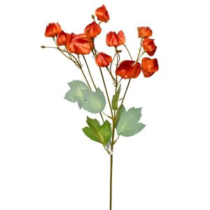 Konár physalis 58cm 208642 - Umelé kvety