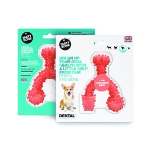 TASTY BONE Dental trio kostička nylonová pre malých psov - Škorica & Mäta 820096