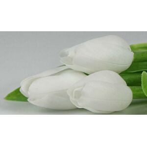 Tulipán kus 40cm biely F244-W1 - Umelé kvety