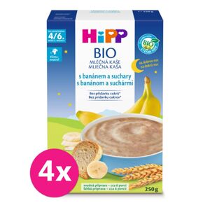 6x HiPP BIO Kaša mliečna na dobrú noc s banánom a suchármi od uk. 4.-6. mesiaca, 250 g VP-F160304