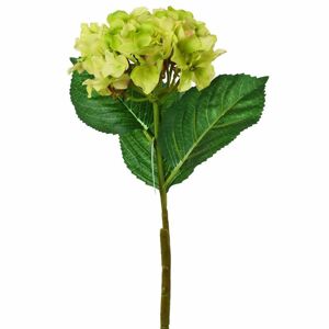 Florasystém Hortenzia zelená kus 50cm - Umelé kvety