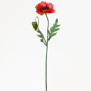 Mak červený kus 49 cm 1100520 - Umelé kvety