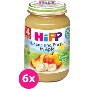 6x HiPP BIO Jablká s banánmi a broskyňami 125 g VP-F010480