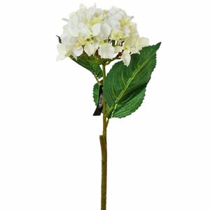 Florasystém Hortenzia biela kus 50cm - Umelé kvety