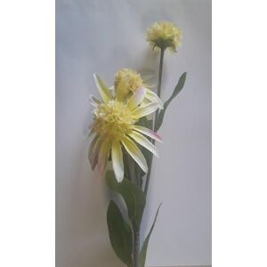 DecorGlass 2496 - Marie Gold kvet