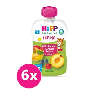 6x HiPP HiPPiS BIO 100% ovocia Jablko-Broskyňa-Lesné ovocie 100 g VP-F035076