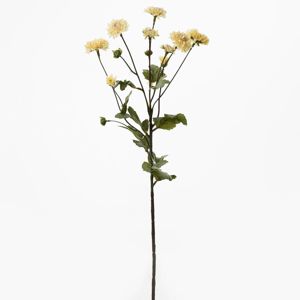 Florasystém Chryzantéma sv. los 66cm 1100253